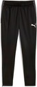 PUMA-Individualliga Training Pants