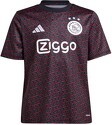 adidas-Maillot Ajax Pre-Match 2024-2025