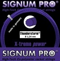 SIGNUM PRO-Pro Thunderstorm (12M)