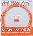 SIGNUM PRO-Pro Polyplasma (12M)