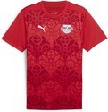 PUMA-Maillot D'Avant Match À Manches Courtes Rb Leipzig