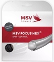 MSV-Focus Hex (12M)