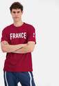 LE COQ SPORTIF-T-shirt Homme