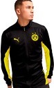 PUMA-Borussia Dortmund Training 2024 2025