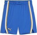 PUMA-Short De Match De Basketball Maccabi