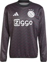 adidas-Haut d'entraînement Ajax Amsterdam Tiro 2024/25