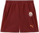 PUMA-Short 24/25 Galatasaray Sk