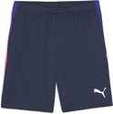 PUMA-Short d'entraînement individualLIGA Homme