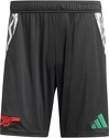 adidas-Fc Arsenal London Pantaloncini Away 2024/2025