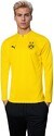 PUMA-Borussia Dortmund Training 2024-2025