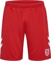 HUMMEL-Ssv Jahn Regen Rg Pantaloncini Home 2024/2025