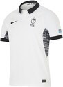 NIKE-Maillot Domicile Fidji 2024/2025