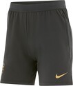 NIKE-Short Training Racing 92 2024/2025