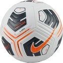 NIKE-PALLONE ACADEMY TEAM