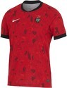 NIKE-Maillot Domicile Rc Toulon 2024/2025