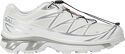 SALOMON-Xt 6 Gtx White/White/Silver