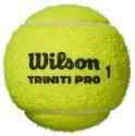 WILSON-Pochette 3 balles Triniti Pro (pack de 24)