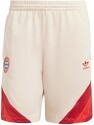 adidas-Short FC Bayern Fanswear 2024-2025