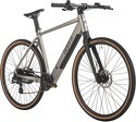 Adore-Vélo de Ville Electrique 28" Aluminium Urban Bike UBR-770 Moteur dans la roue arrière 30NM / 10Ah Gris mat