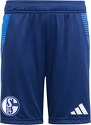 adidas-FC Schalke 04 Trainingsshort