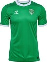 HUMMEL-Maillot Domicile AS Saint Etienne 2024/2025