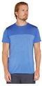 ICEBREAKER-T-Shirt Merino 125 Cool Lite Sphere 3 Colour Block