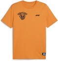 PUMA-T-Shirt Netherlands F1