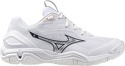 MIZUNO-Wave Stealth 6