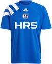 adidas-Fc Schalke 04 Prematch Shirt 2024/2025 Royal