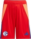 adidas-FC Schalke 04 TW-Short 2024/2025