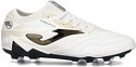 JOMA-Powerful Fg