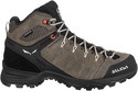 SALEWA-Alp Trainer 2 Gore-Tex