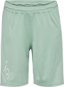 HUMMEL-Sv Werder Bremen Pantaloncini Away 2024/2025