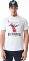 NEW ERA-T-shirt Chicago Bulls NBA Logo Graphic