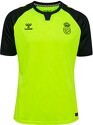 HUMMEL-Away Real Betis 2024/2025