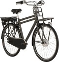 Adore-Vélo de ville électrique Homme Hollandia Carry on 28'' 3 vitesses