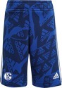 adidas-FC Schalke 04 Camlog short