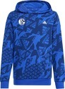 adidas-FC Schalke 04 Camlog Sweat à capuche