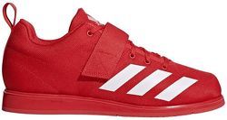 Powerlift 4 - Chaussures d'haltérophilie-adidas Performance