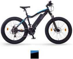 NCM BIKE - Fat-Bike Ncm Bikes Aspen - 26", 250W, Batterie 48V 13Ah - VTT électriques