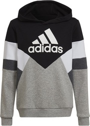 Sweat-shirt à capuche Colorblock Fleece-adidas Sportswear