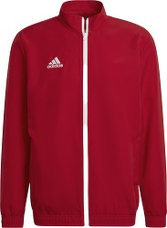 Ent22 Pre - Veste de football-adidas Performance