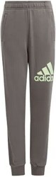 Pantalon en coton Essentials Regular Fit Big Logo-adidas Sportswear