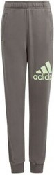 Pantalon en coton Essentials Regular Fit Big Logo-adidas Sportswear