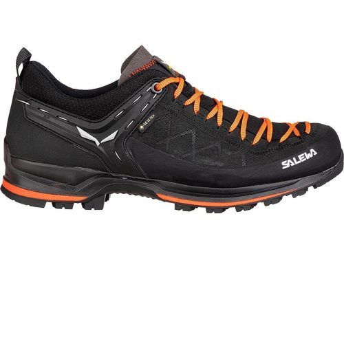 SALEWA - Mtn Trainer 2 Gore-Tex