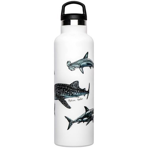 Bouteille D´affiche De Requin 600ml