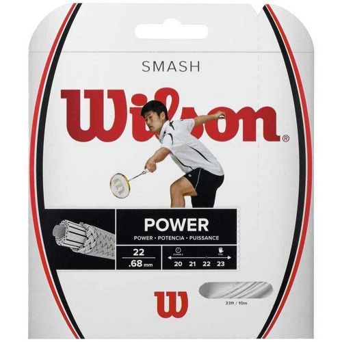 Smash Badminton (10M)