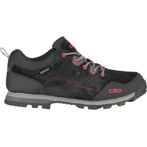 Cmp - Alcor Low Trekking