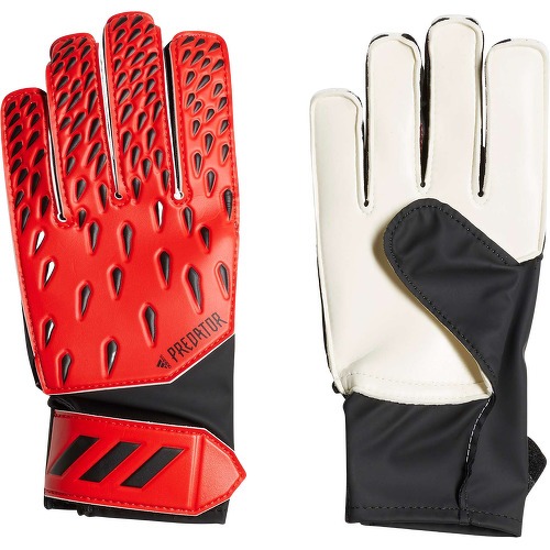 Gants de gardien Predator Training