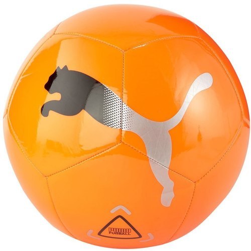 PUMA - Ballon Football Icon